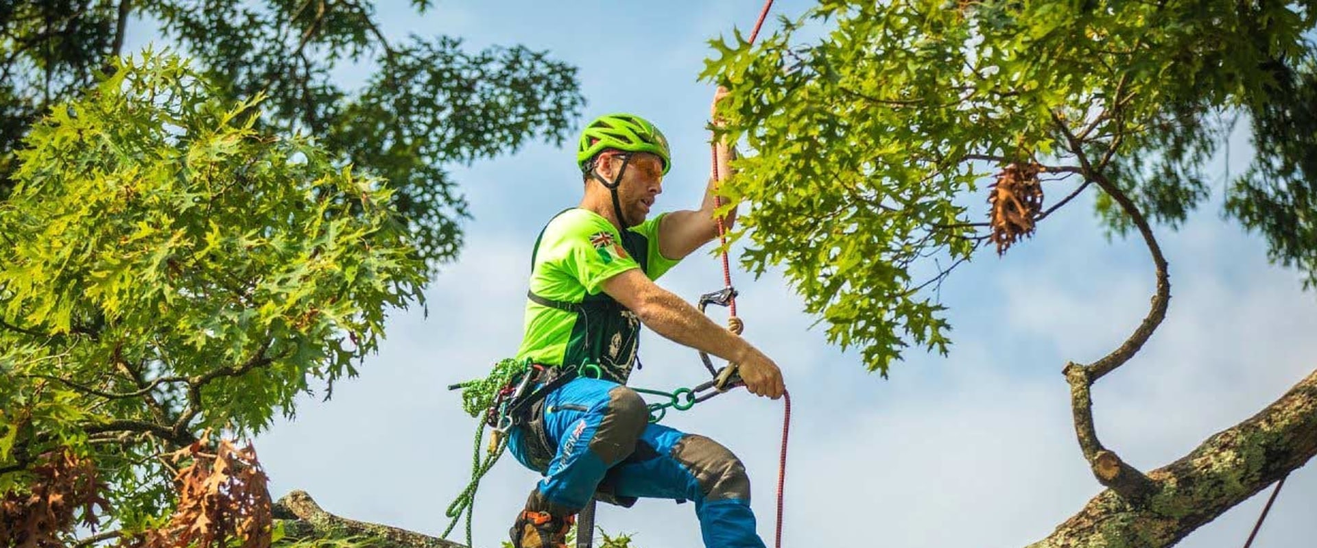 How Much Does it Cost to Hire an Arborist?