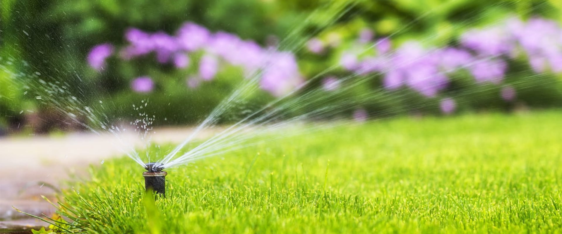 Why Do Arborists Sprinkler Systems In Omaha