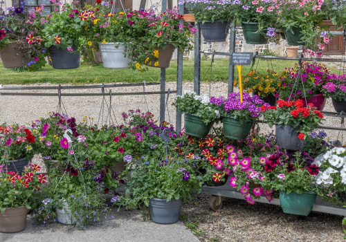 Transform Your Yard with Expert Tree Care and Lighting