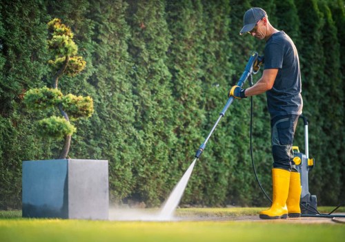 Arborist Improvements That Stand Out with Pressure Washing Services