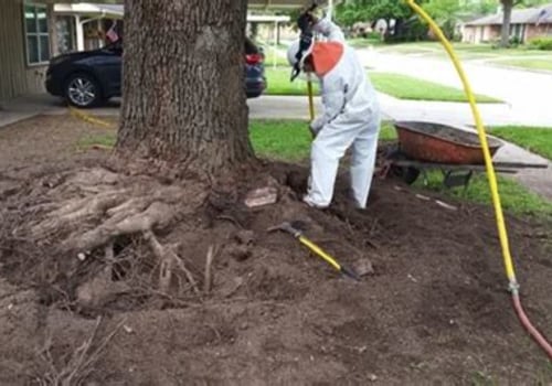 How Outdoor Surface Repairs Can Affect Nearby Tree Health and Root Systems